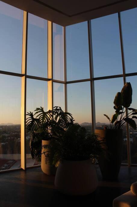 Departamento En Zona Andares, Park Life Lägenhet Guadalajara Exteriör bild